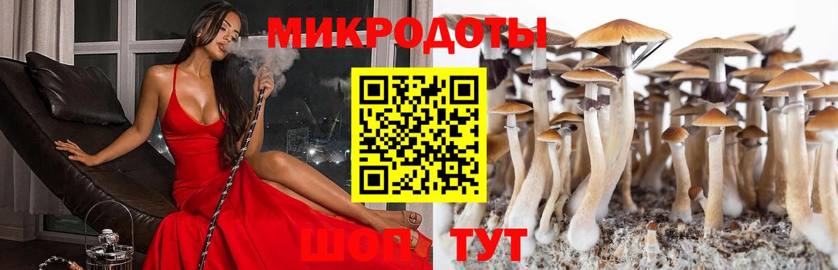 Новороссийск  хочу   Галлюциногенные грибы Magic Shrooms  Вход с VPN  Псилоцибиновые грибы ЛСД 