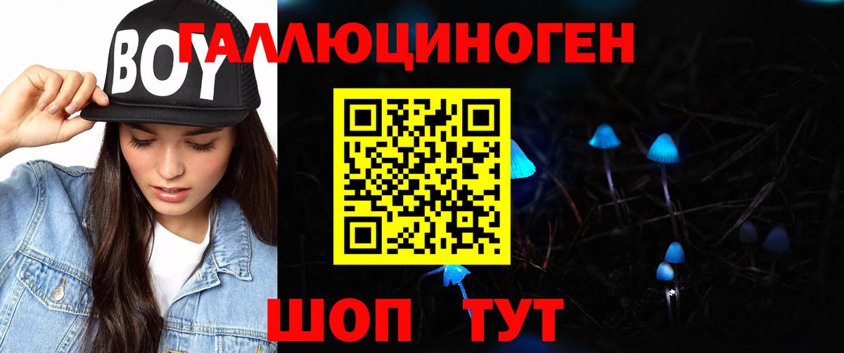 Галлюциногенные грибы мухоморы Новороссийск