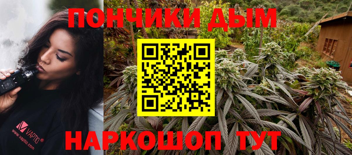 Бошки марихуана White Widow Новороссийск
